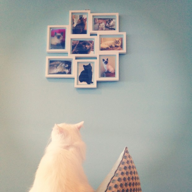 Cafe Cafe in Edinburgh