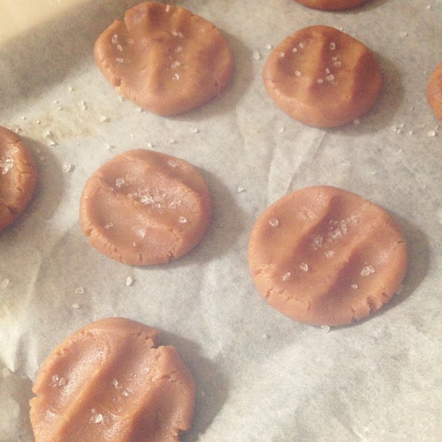 Chocolate and peanut butter cookies