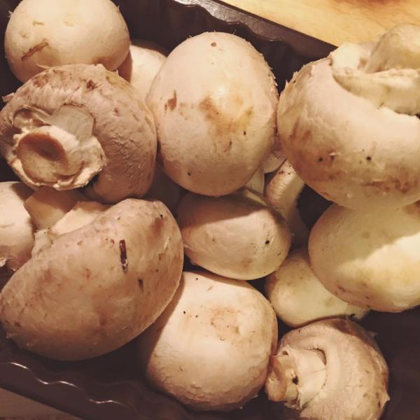 little-nibble-mushrooms