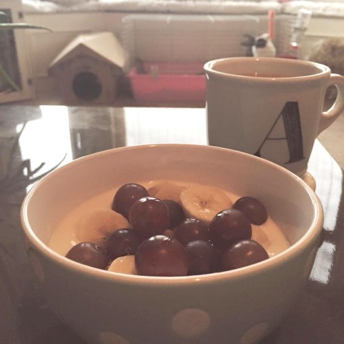 vegan-yoghurt-fruit-breakfast