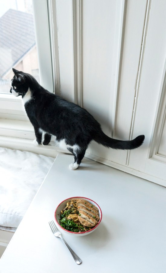 bts-vegan-noodles-header